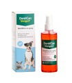 DENTICAN SPRAY DENTAL 125ML