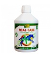 FOAL CARE 500ML