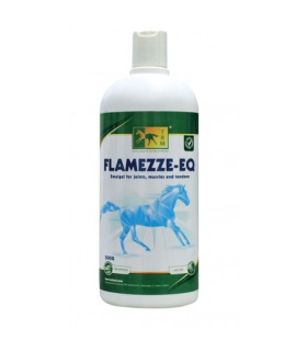 FLAMEZZE-EQ 500G