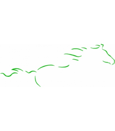 BALON ANTI-STRESS PARA CABALLO AZUL