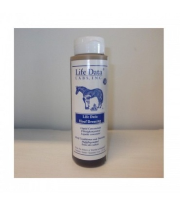 DESINFECTANTE CASCOS LIFE DATA 237ML