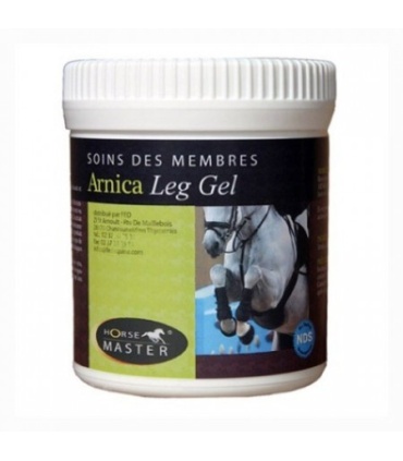 GEL LEG ARNICA 500GR
