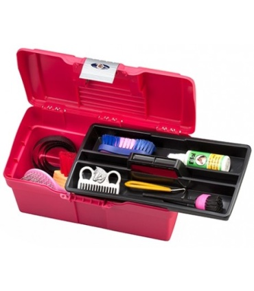 CAJA LIMPIEZA LEXHIS CLASSIC PLASTICO FRAMBUESA/GRIS