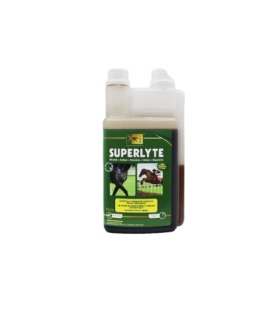 SUPERLYTE SYRUP 1L