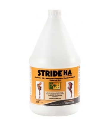 STRIDE HA SOLUCION 3.75L
