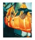 ARNES DE TRANSPORTE EQUINO EQUIVET (281560)