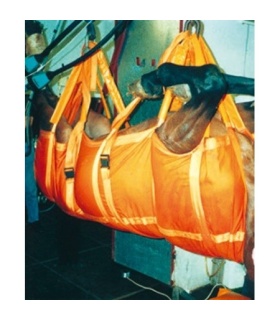 ARNES DE TRANSPORTE EQUINO EQUIVET (281560)