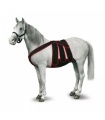 FAJA COMPLETA POS-OPERAT.CABALLO T-G VERDE