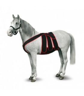 FAJA COMPLETA POS-OPERAT.CABALLO T-M ROJA