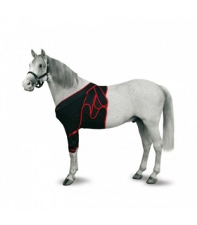 FAJA FRONTAL CABALLO T-M