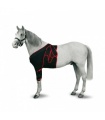 FAJA FRONTAL CABALLO T-M