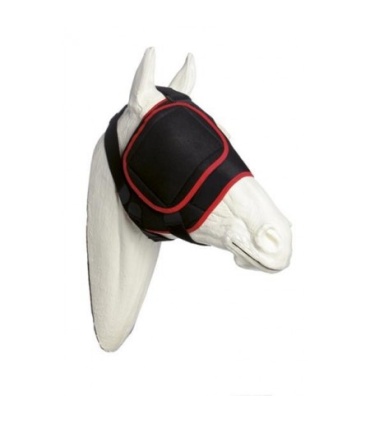 PARCHE PARA MASCARA FACIAL EQUINO TALLA M