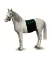 FAJA RECUPERACION EQUINO T-L
