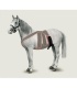 CORREA DE ESCROTO EQUINO TALLA M