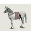 CORREA DE ESCROTO EQUINO TALLA M