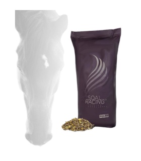 PIENSO EQUINO RACING MIX IMPULSE 20KG