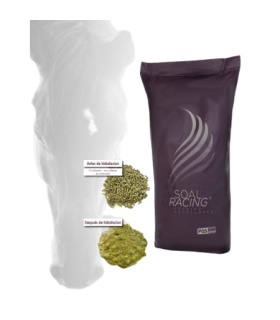PIENSO EQUINO PROLIFIBRE 25KG