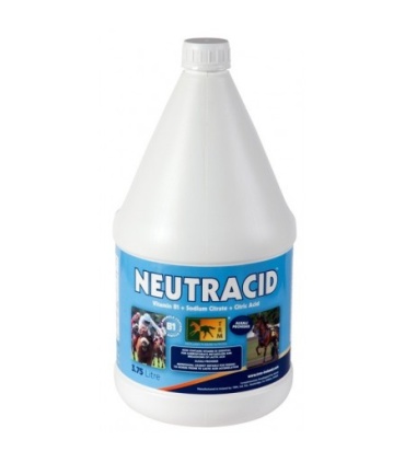 NEUTRACID 3.75 LITROS