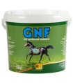 GNF 10KG ULCERA+PROBIOTICO