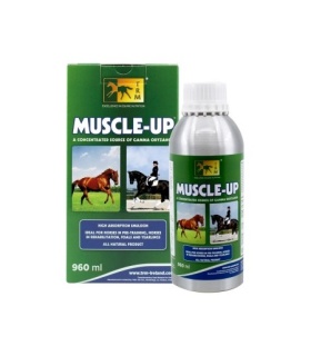 MUSCLE UP 960 ML