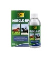 MUSCLE UP 960 ML