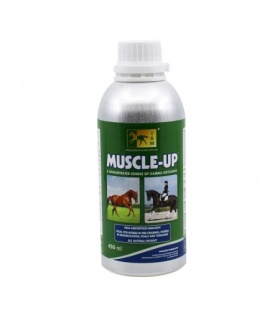 MUSCLE UP 450ML