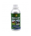 MUSCLE UP 450ML