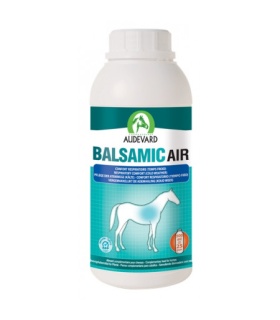 BALSAMIC AIR 500ML