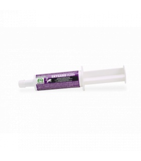 EKYGARD FLASH 1JER.60ML
