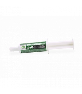 EKYFLEX NODOLOX FLASH JERINGA 60ML