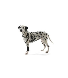 PROTECTOR CARPAL PERRO REHAB KRUUSE T-L