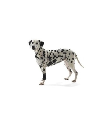 PROTECTOR CARPAL PERRO REHAB KRUUSE T-L