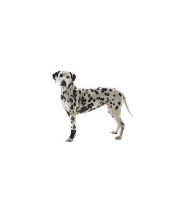 PROTECTOR CARPAL PERRO REHAB KRUUSE T-M