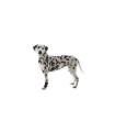 PROTECTOR CARPAL PERRO REHAB KRUUSE T-M