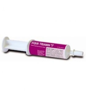 TRIAMIN PRO BUSTER 1JER.60ML