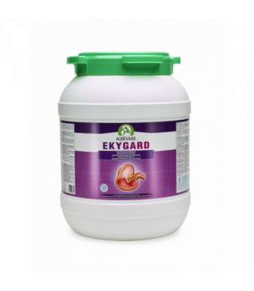 Ekygard 6 kg suplemento para úlceras gástricas en caballos