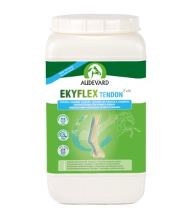EKYFLEX TENDON EVO 1.8KG