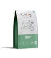 CUSTOM DIET OBESITY 10KG