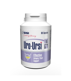 GIGI SUPL. URO-URSI 90 TAB.