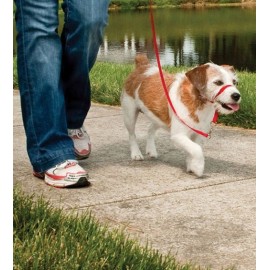 EASY WALK RONZAL NEGRO