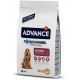 ADVANCE ADULT MEDIUM SENIOR CHICKEN & RICE