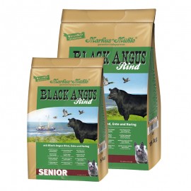 BLACK ANGUS SENIOR