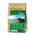 BLACK ANGUS SENIOR
