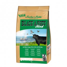 BLACK ANGUS JUNIOR 