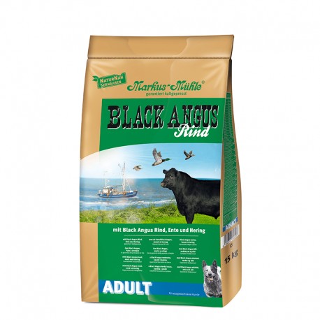 BLACK ANGUS ADULT
