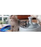 Comederos y Bebederos para gatos | Tienda online Piensos DeCan