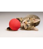 Juguetes para gatos al mejor precio | Piensos DeCan tienda online