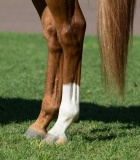 CUIDADO DE LAS EXTREMIDADES Y CREMAS