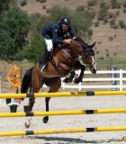 RENDIMIENTO Y ANTIOXIDANTES